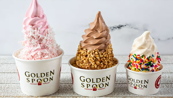 Sweet News: Golden Spoon Froyo is Now Open!